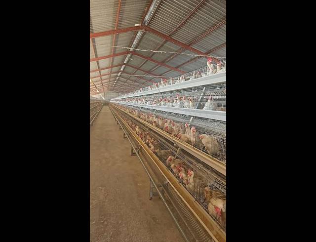 FARM FOR SALE IN WONDERBOOM